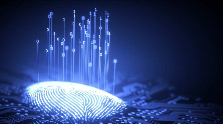 Biometric Access Systems