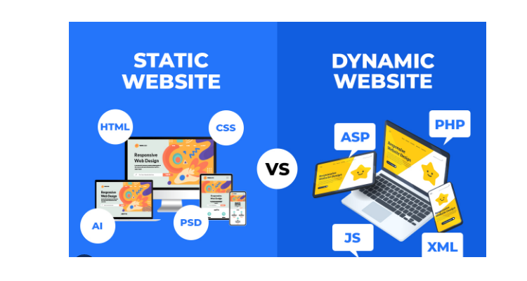 Static Websites vs Dynamic Websites
